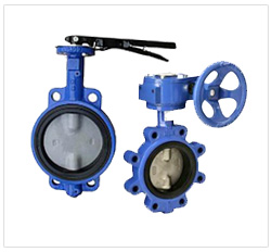 Globe Valve
