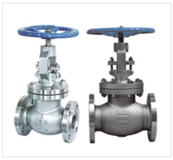 Globe Valve