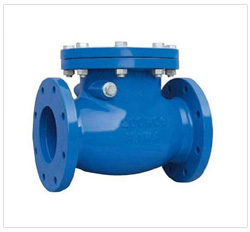 Globe Valve